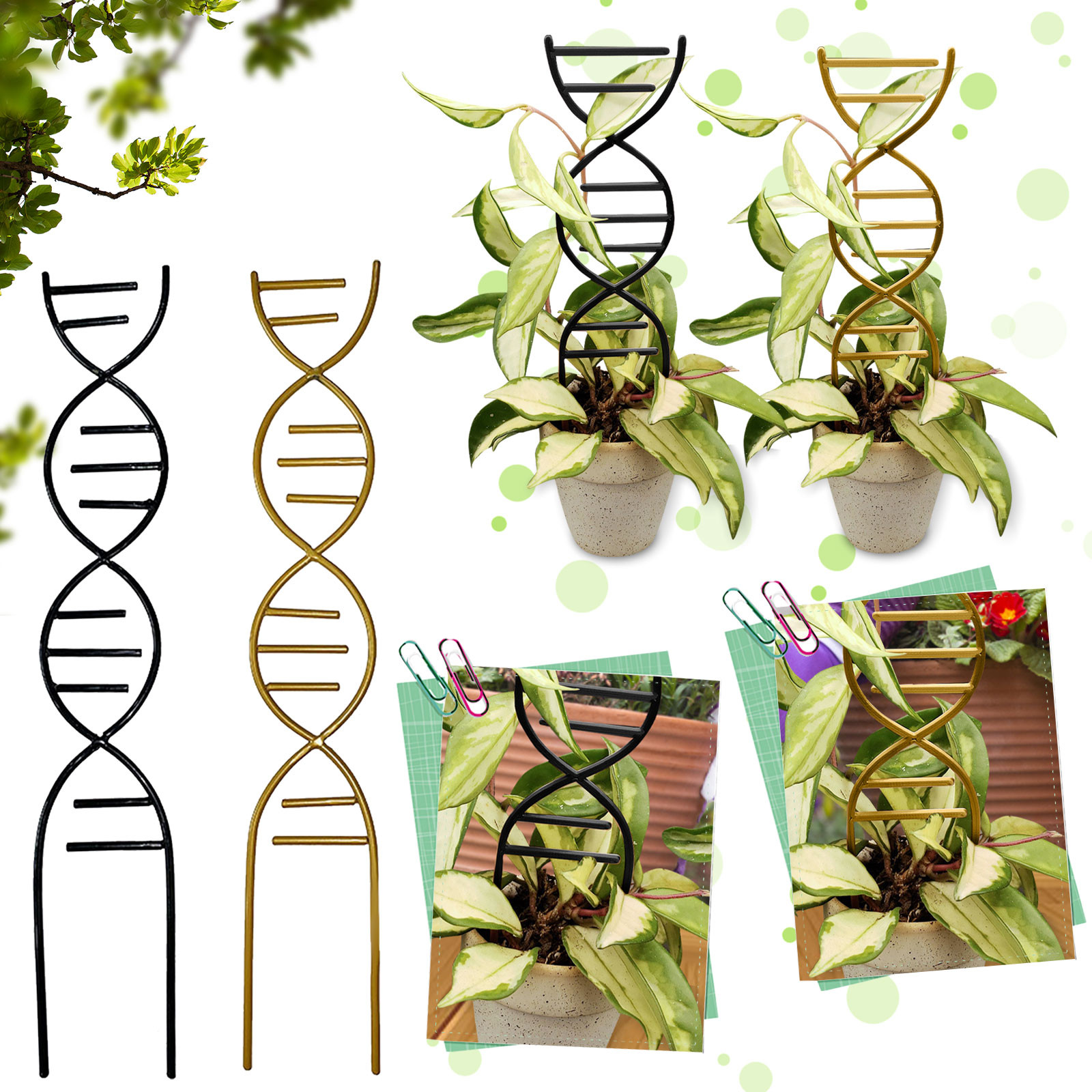 Bonsai Garden Pot - Plant Climbing Support Gardens Flower Pots