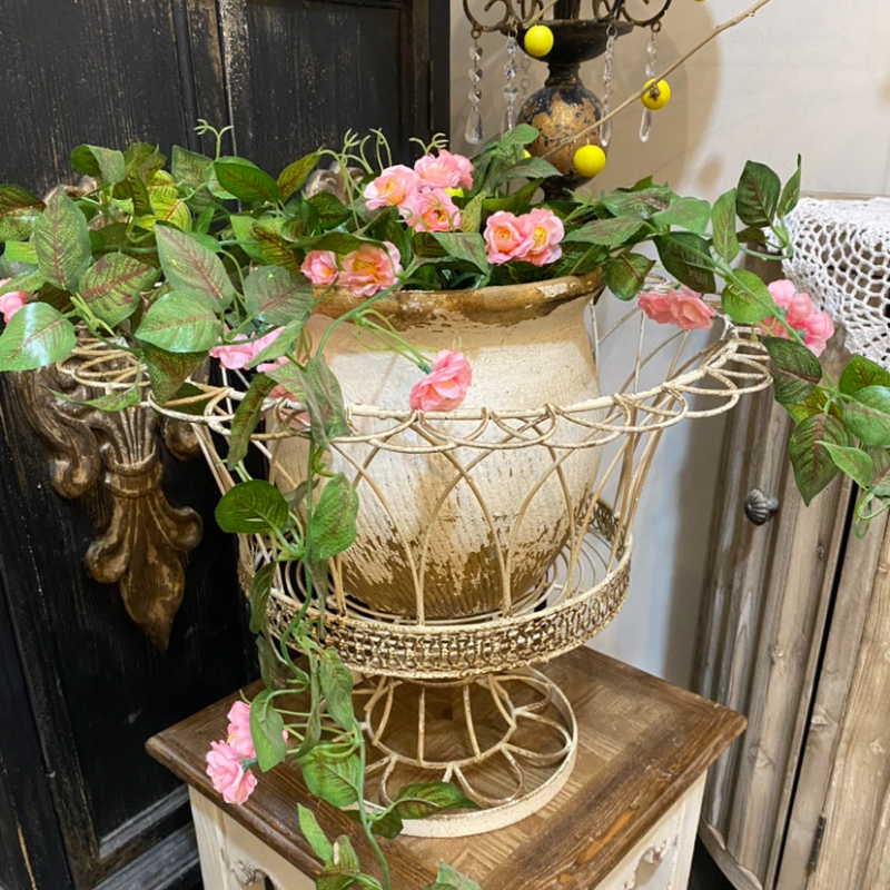 Bonsai Garden Display - Vintage Do Old Flower Basket Outdoor