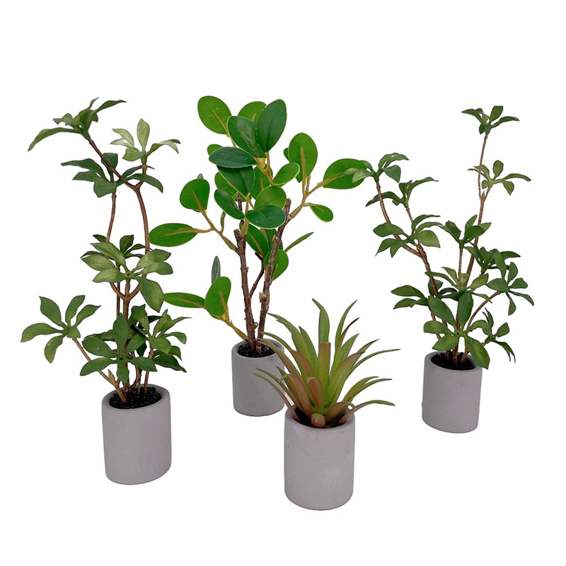 Bonsai Garden Pot - 1:6 Dollhouse Miniature Potted Plant Green