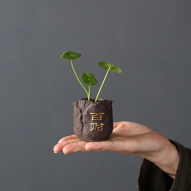 Creative Purple Clay Tea Pet F - огляд і ціна Bonsai Garden Pot