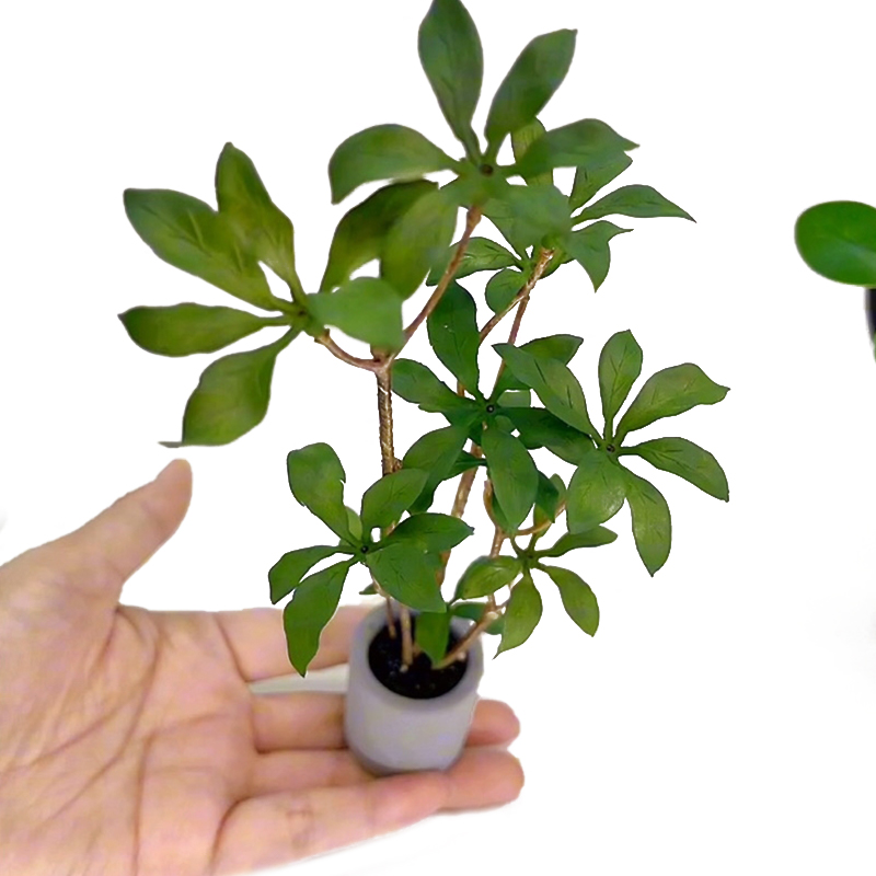 1:6 Dollhouse Miniature Potted - огляд і ціна Bonsai Garden Pot