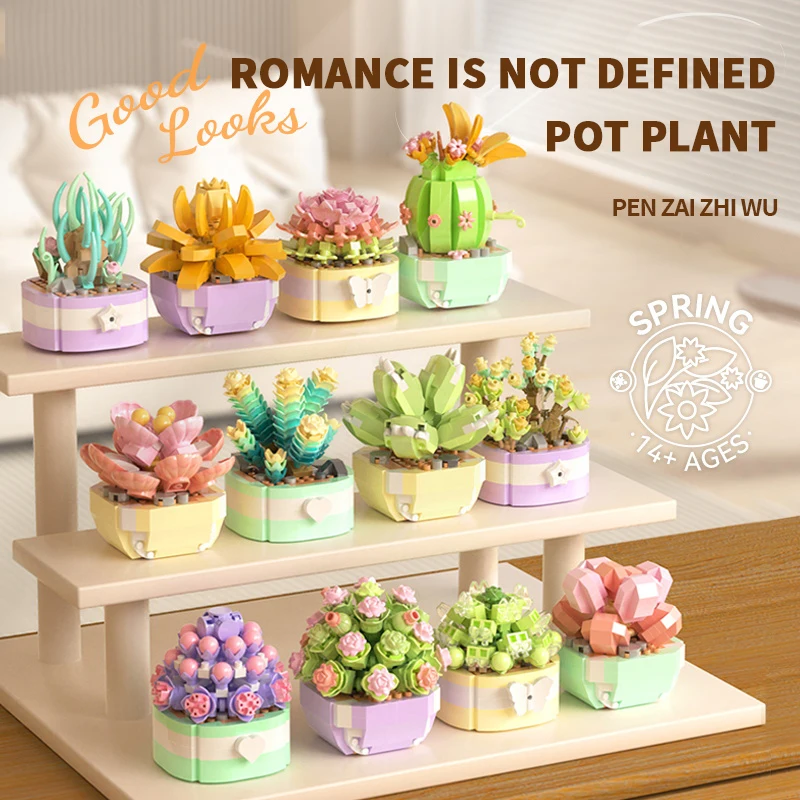 Flower Succulents Building Blo - огляд і ціна Bonsai Garden Pot