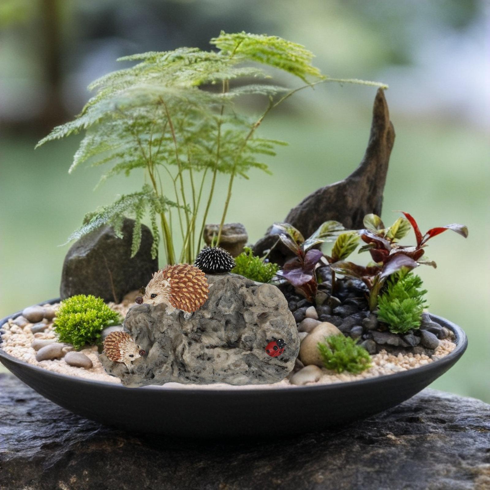 Mini Hedgehog Garden Statue Re - огляд і ціна Bonsai Garden Pot