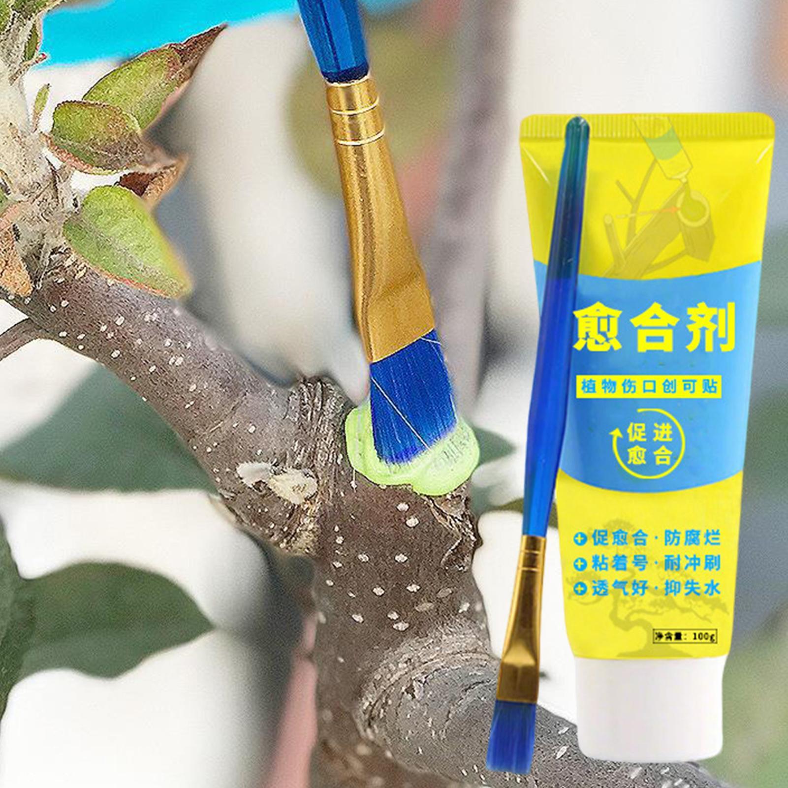 Plant Pruning Sealer Agent Pla - огляд і ціна Bonsai Garden Tree