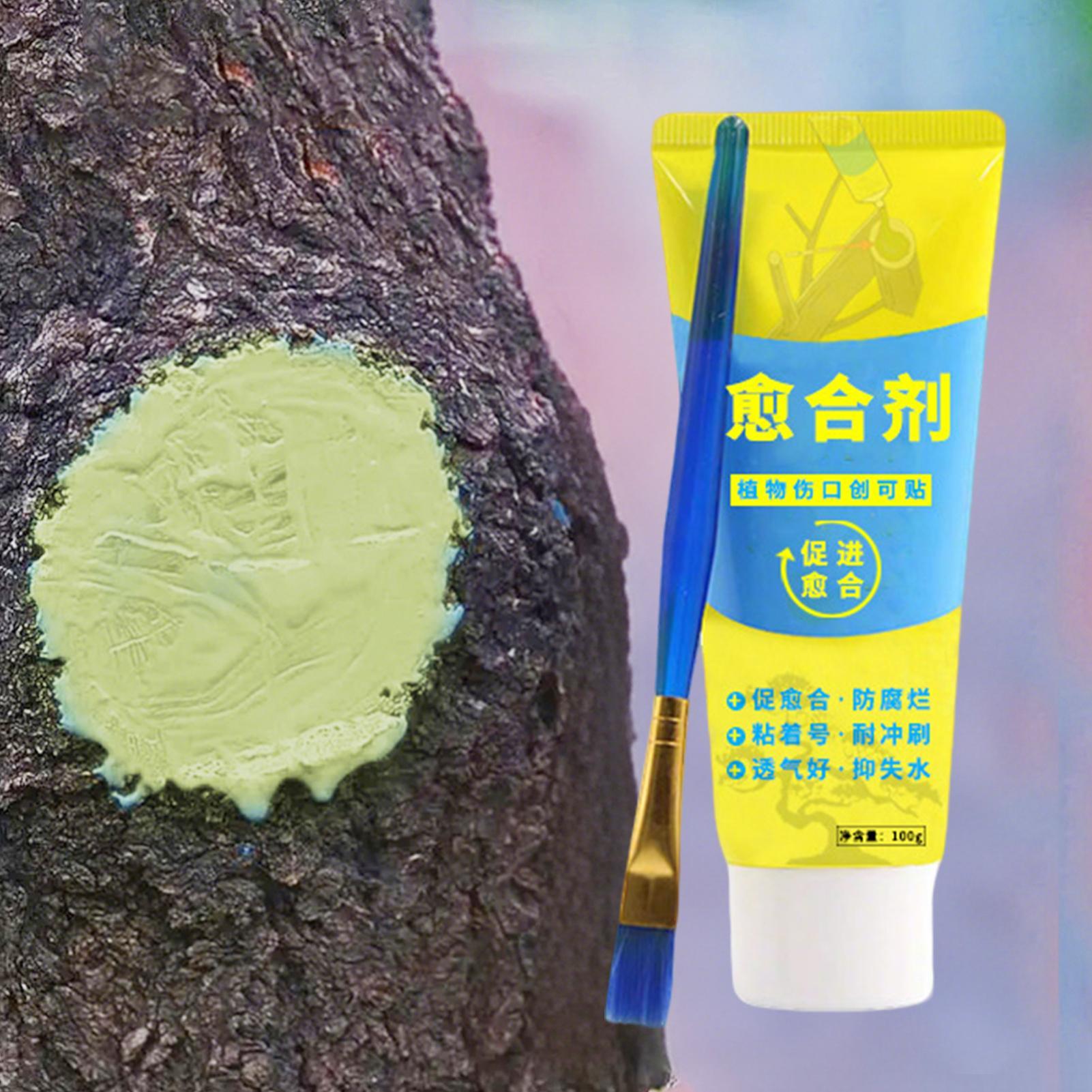 Plant Pruning Sealer Agent Pla - огляд і ціна Bonsai Garden Tree