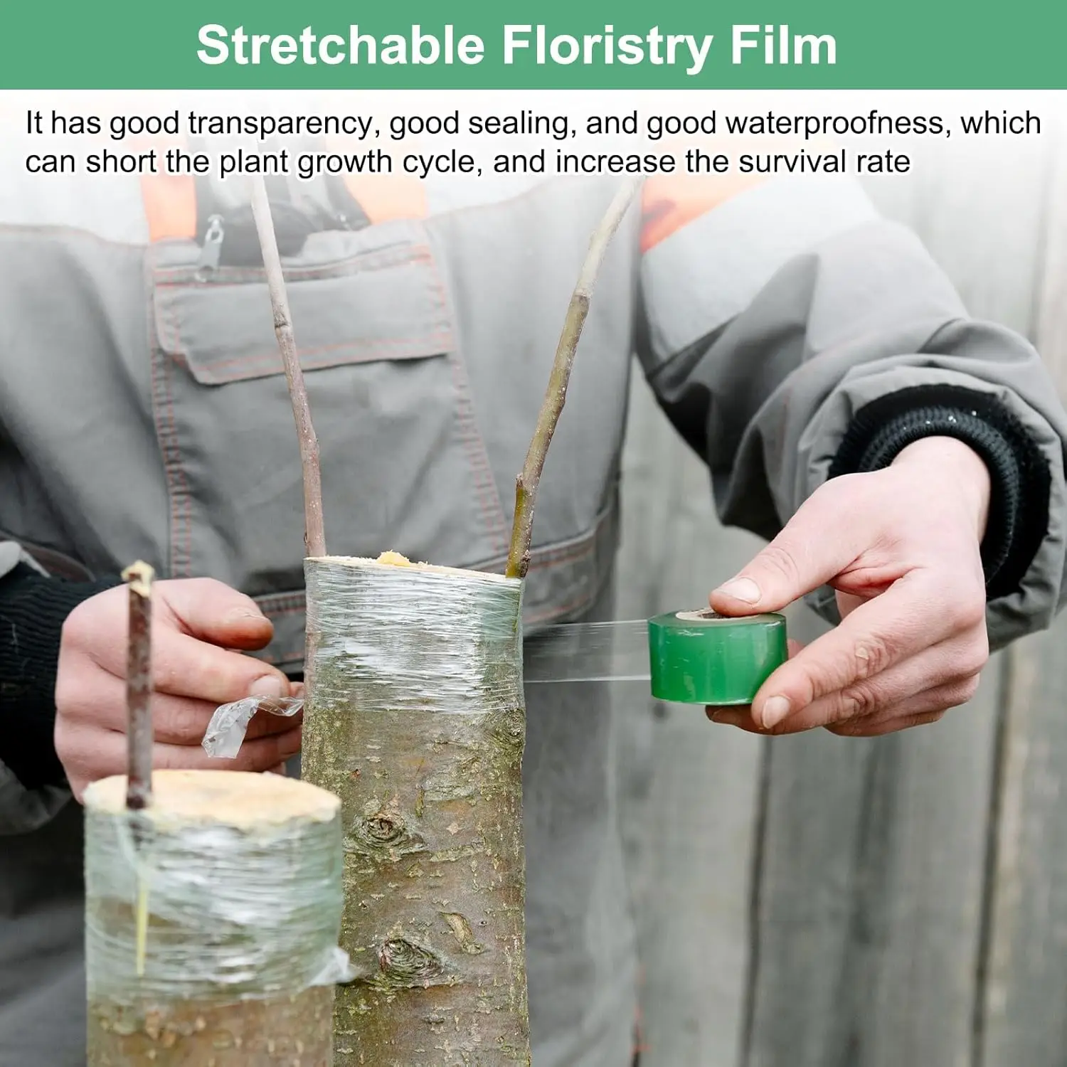 Self-adhesive PE Grafting Tape - огляд і ціна Bonsai Garden Tree