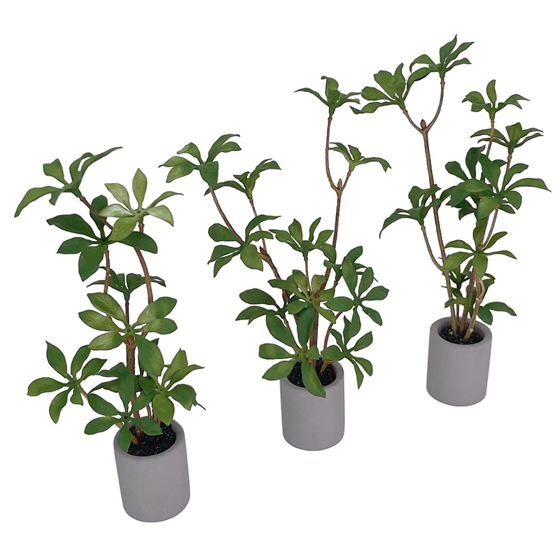 1:6 Dollhouse Miniature Potted - огляд і ціна Bonsai Garden Pot