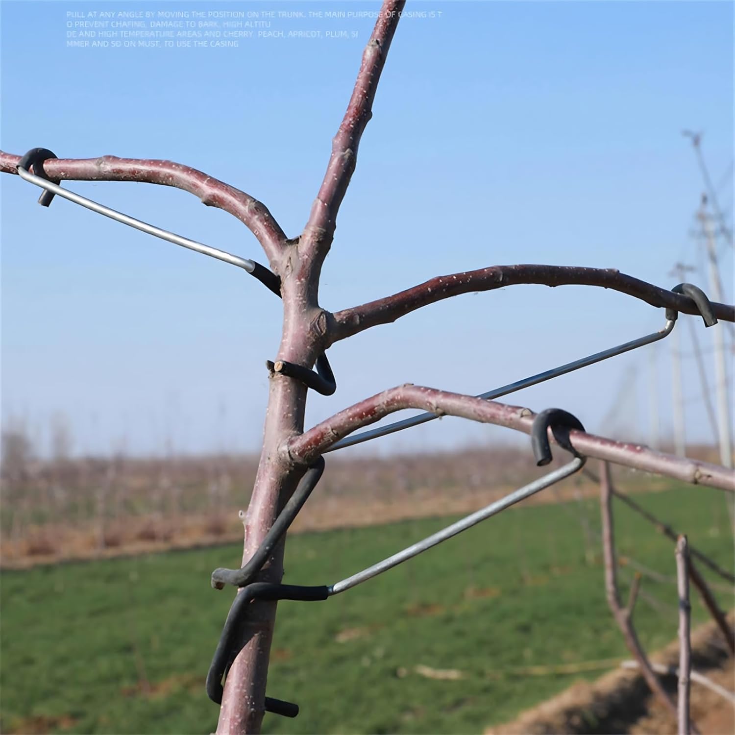 Adjustable Fruit Tree Branch S - огляд і ціна Bonsai Garden Tree