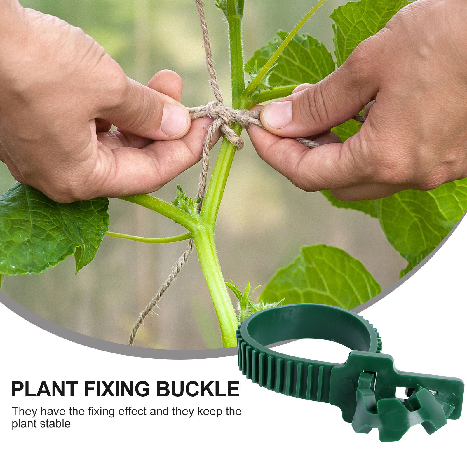20Pcs Vine Fixing Buckle Plant - огляд і ціна Bonsai Garden Tree