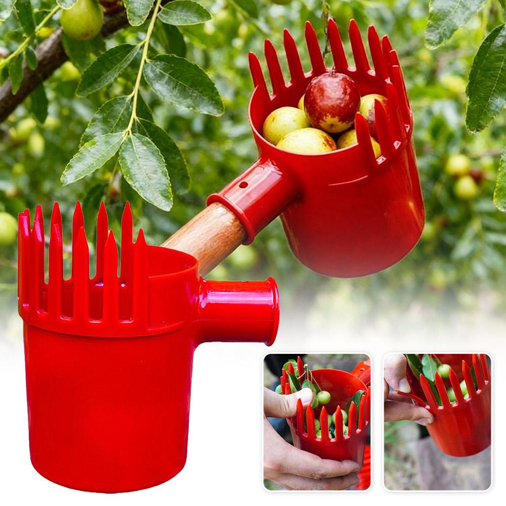 Fruit Picker Tool Portable Bas - огляд і ціна Bonsai Garden Tree