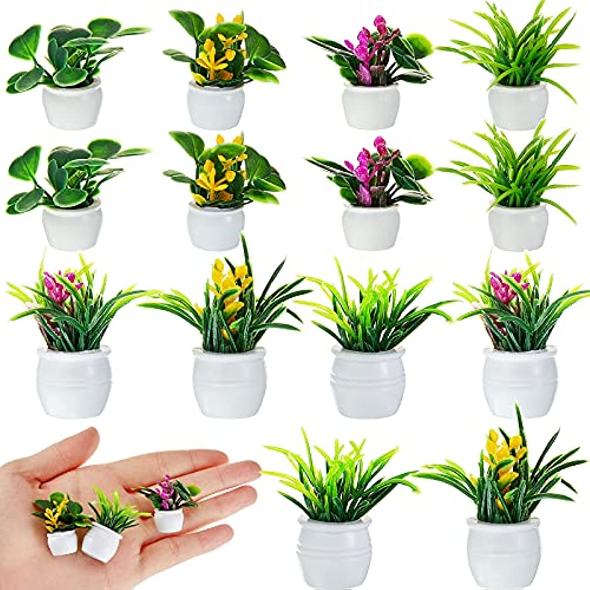 Dollhouse Plant, Miniature Bon - огляд і ціна Bonsai Garden Pot