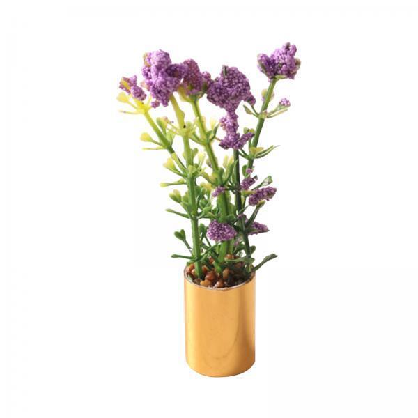 Miniature Potted Plant Ornamen - огляд і ціна Bonsai Garden Display