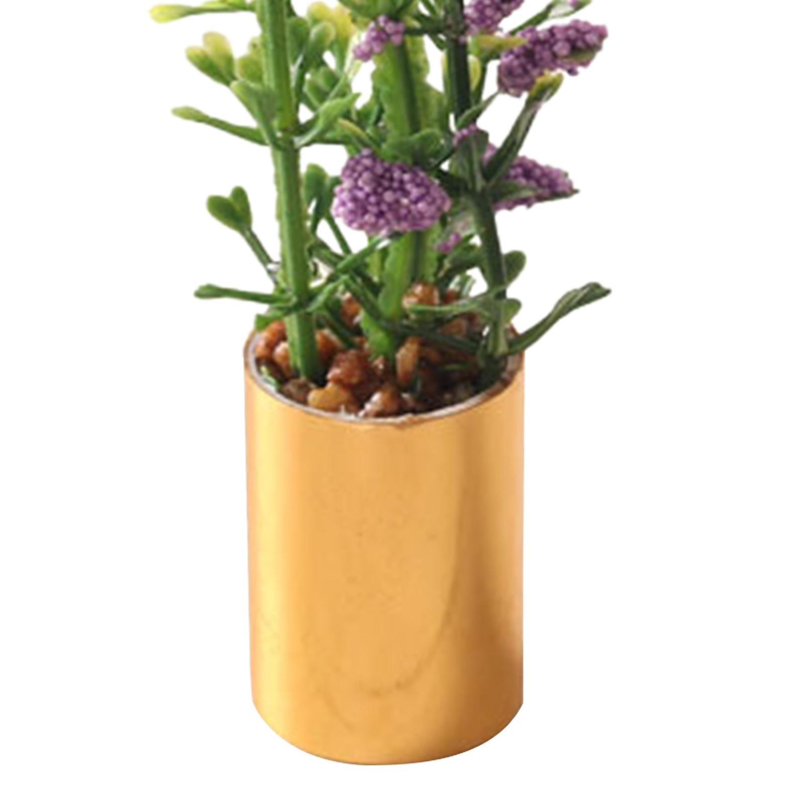 Miniature Potted Plant Ornamen - огляд і ціна Bonsai Garden Display