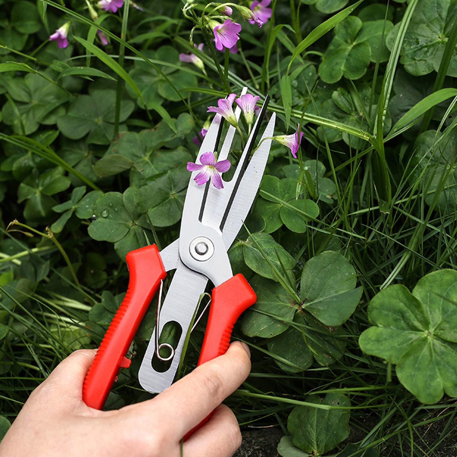 Garden Shears Stainless Steel  - огляд і ціна Bonsai Garden Tree