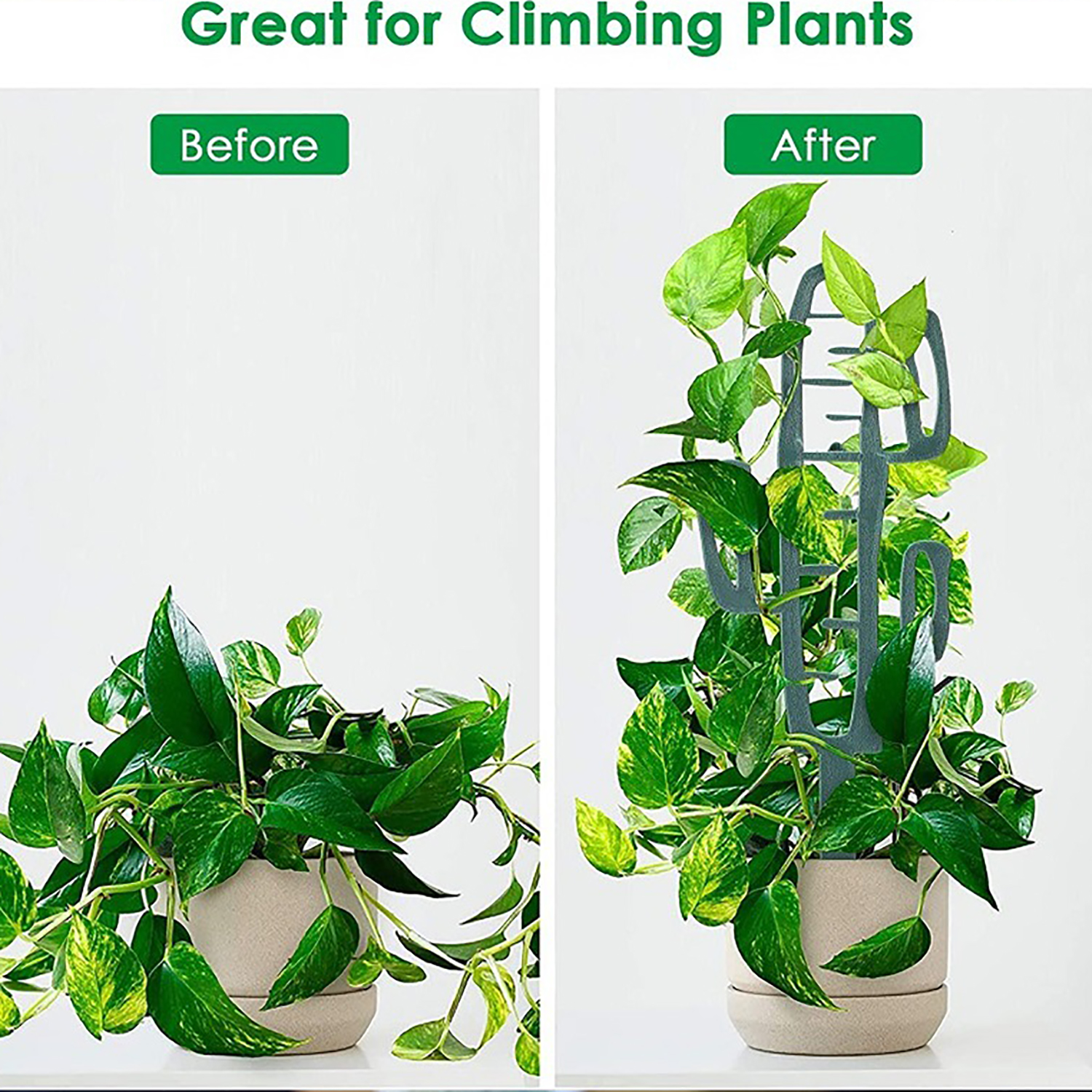 Plant Climbing Support Stand F - огляд і ціна Bonsai Garden Pot