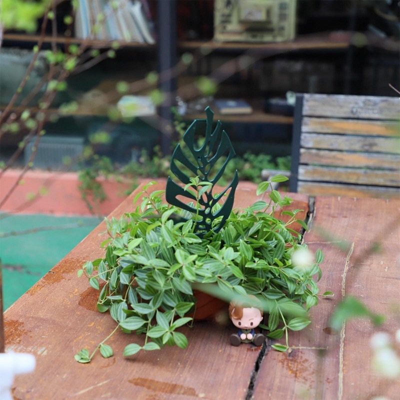 Plant Climbing Support Stand F - огляд і ціна Bonsai Garden Pot